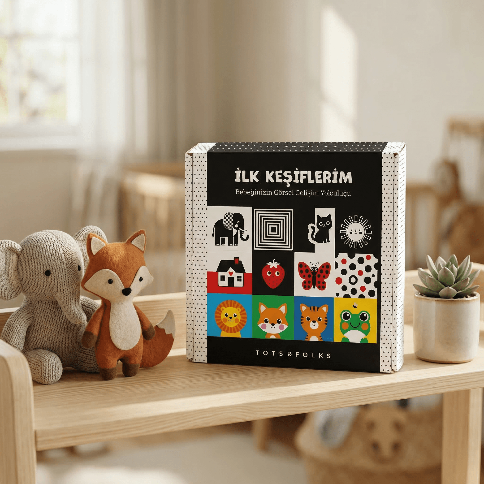 İlk Keşiflerim Kartları